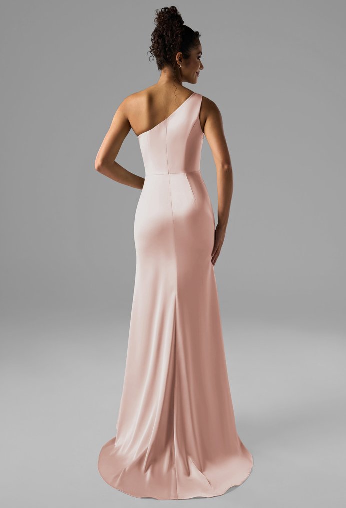 AW Rohan Dress
